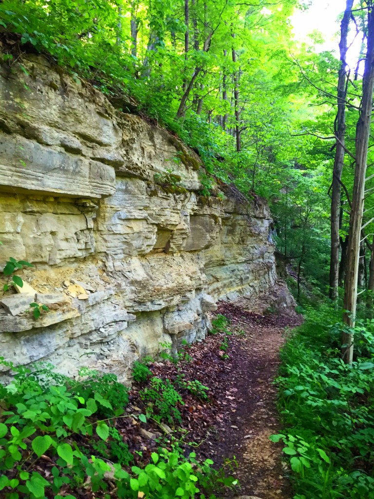 Clifty Falls (17)
