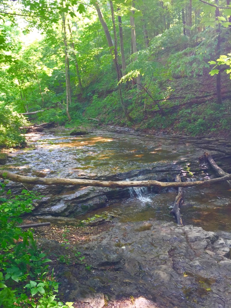 Clifty Falls (23)