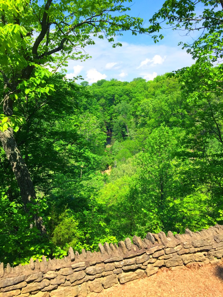 Clifty Falls Lookout