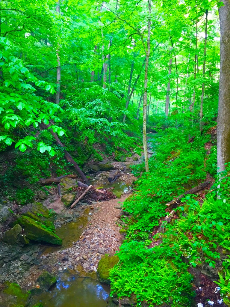 Clifty Falls Trail 7 (1)