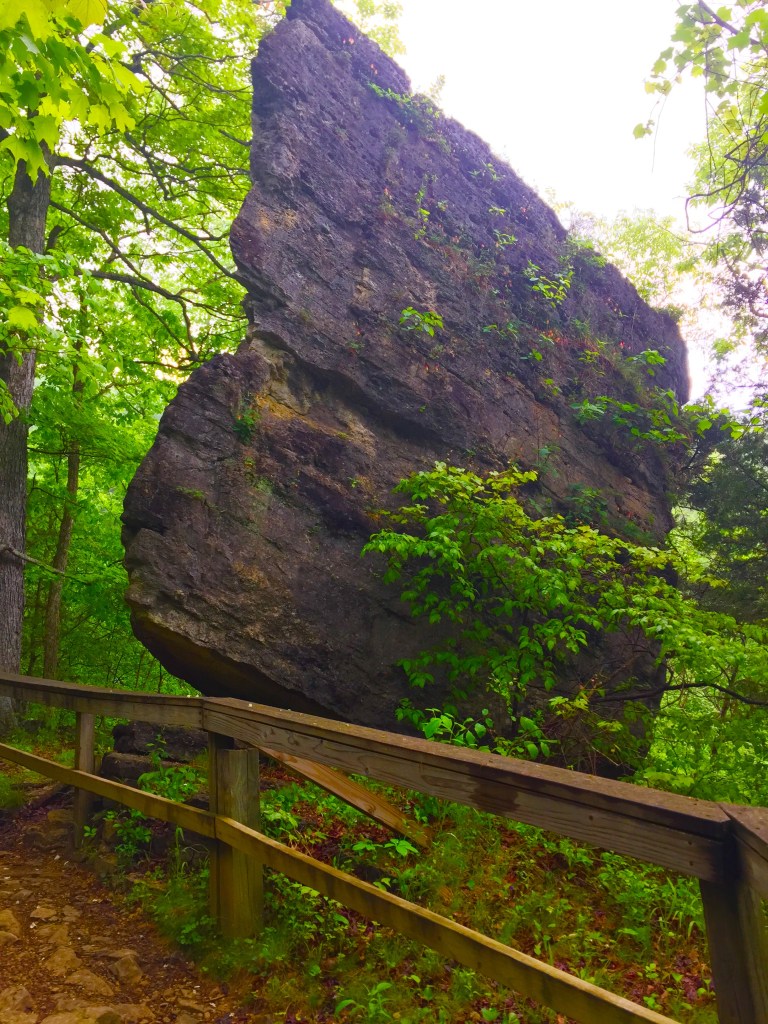 Clifty Falls Trail 7 (7)