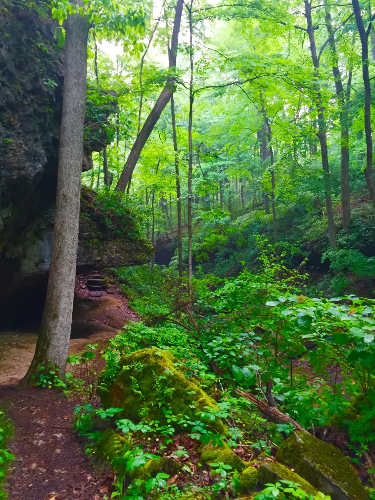 Clifty Falls Trail 7 (9)