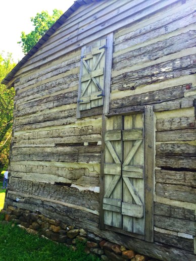 Falls of the Ohio (11)