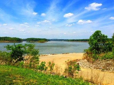 Falls of the Ohio (8)