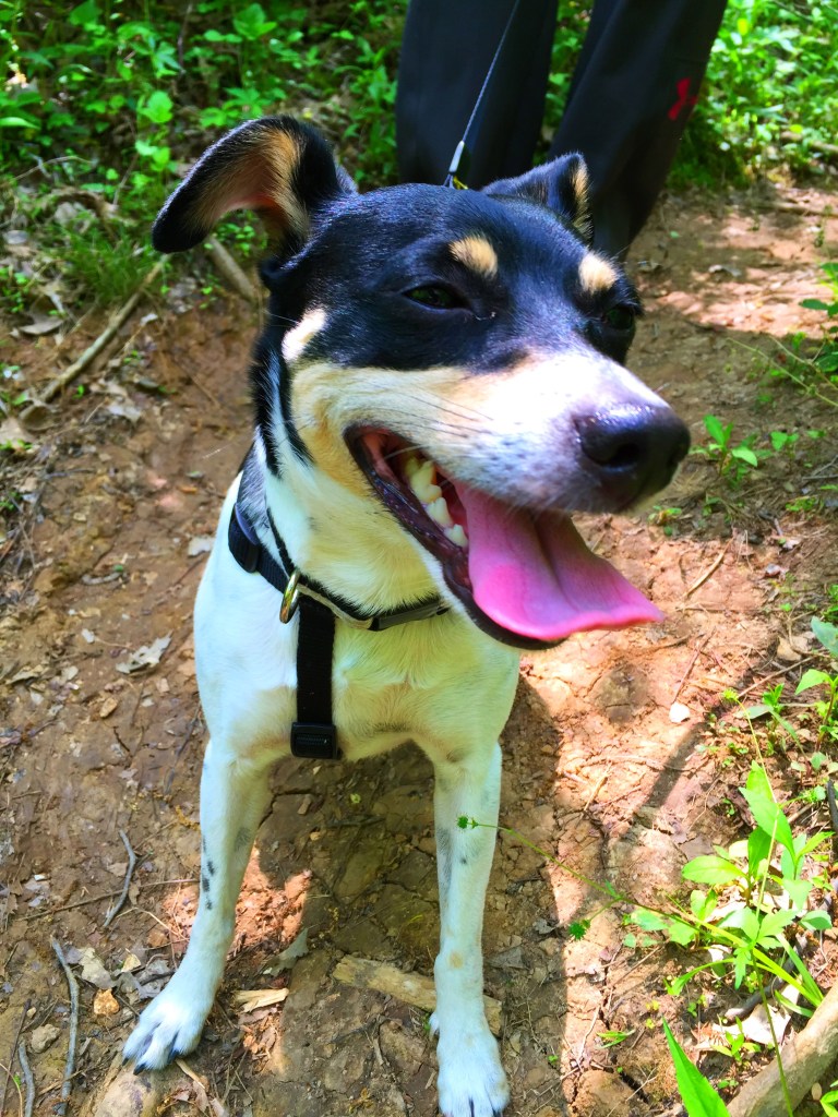 Photo May 08, 1 40 43 PM