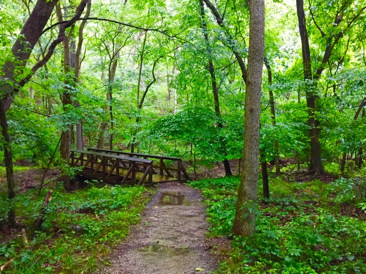 Rockwoods Reservation –&nbsp;Missouri