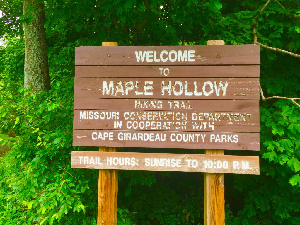 Maple Hollow (1)