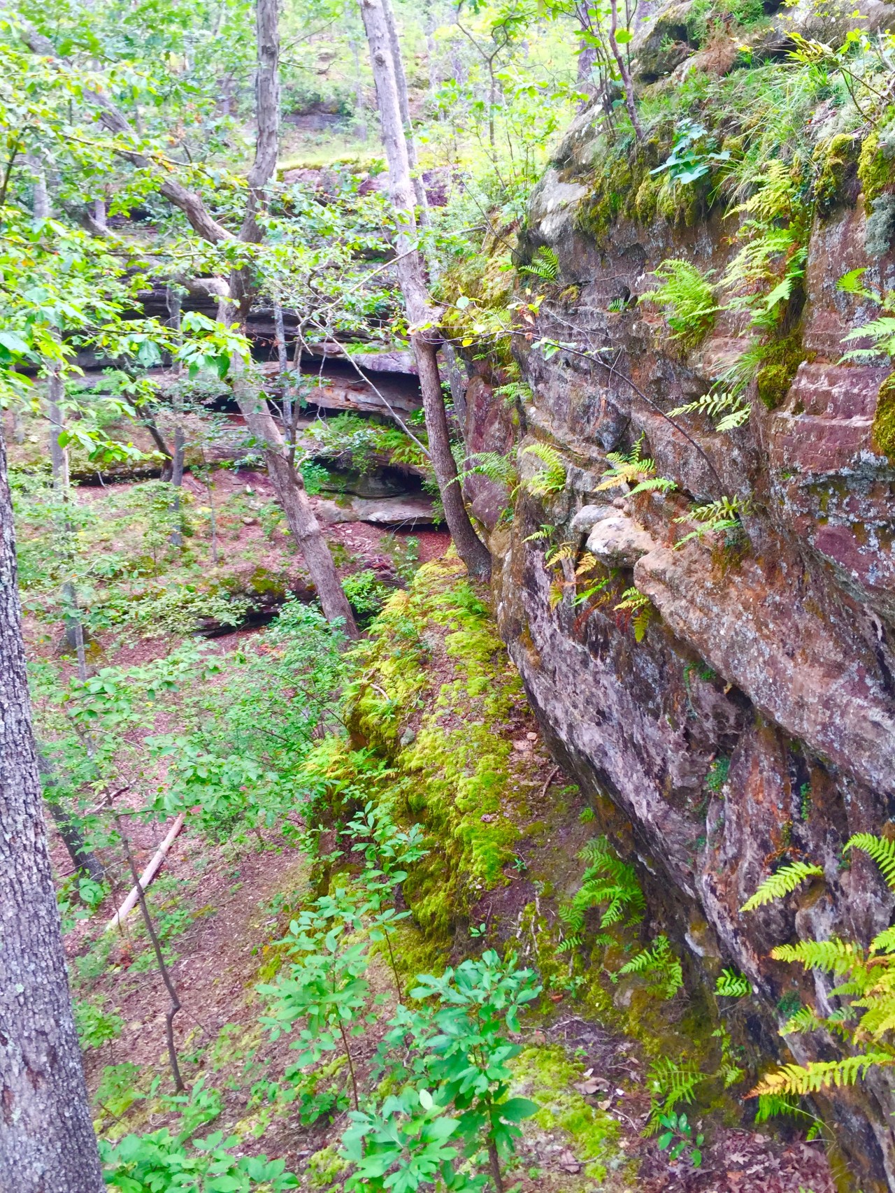 Hickory Canyons Natural Area –&nbsp;Missouri