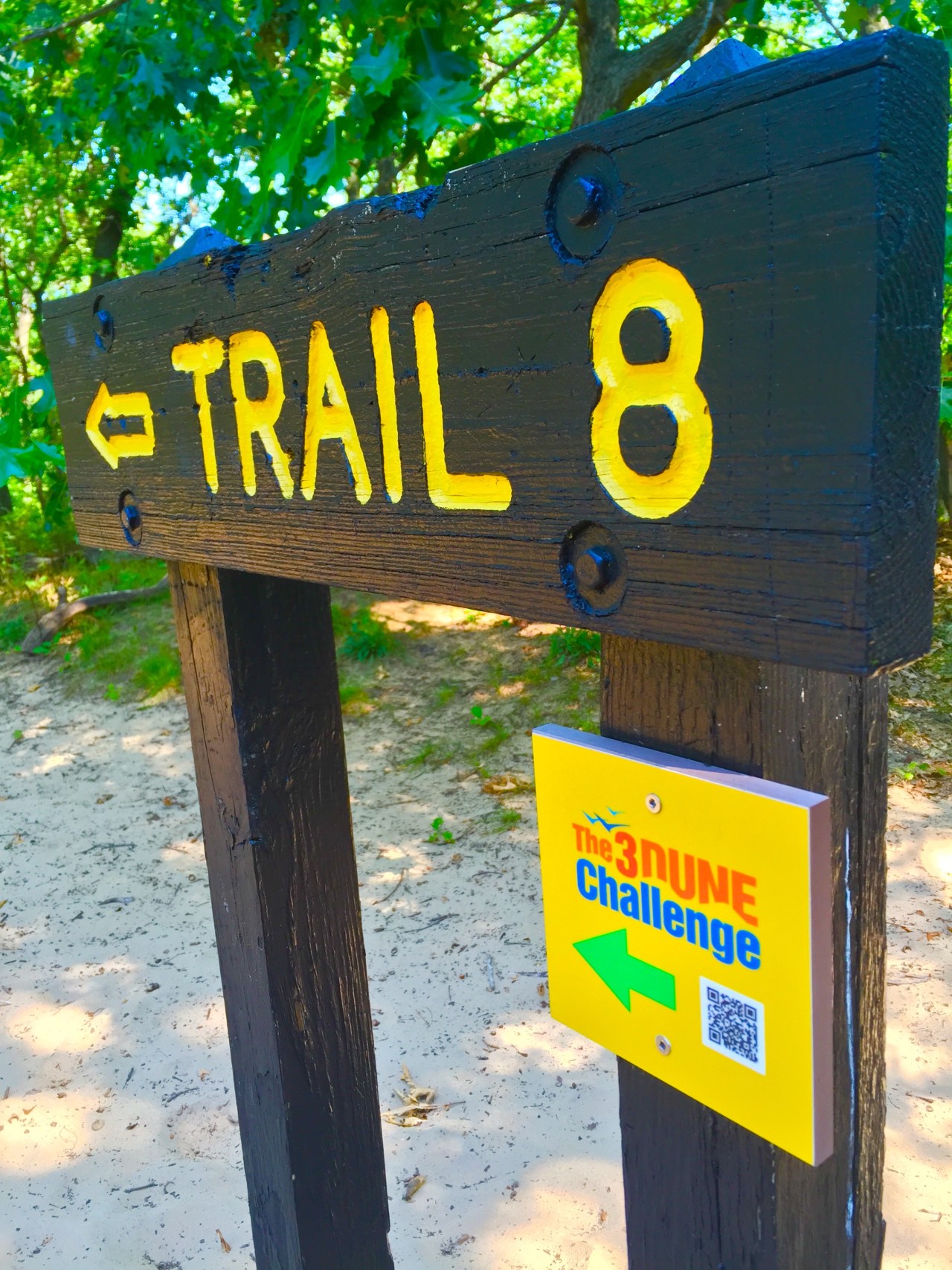 Indiana Dunes (41)