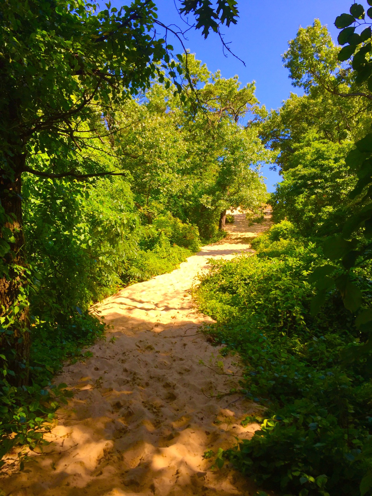 Indiana Dunes (42)