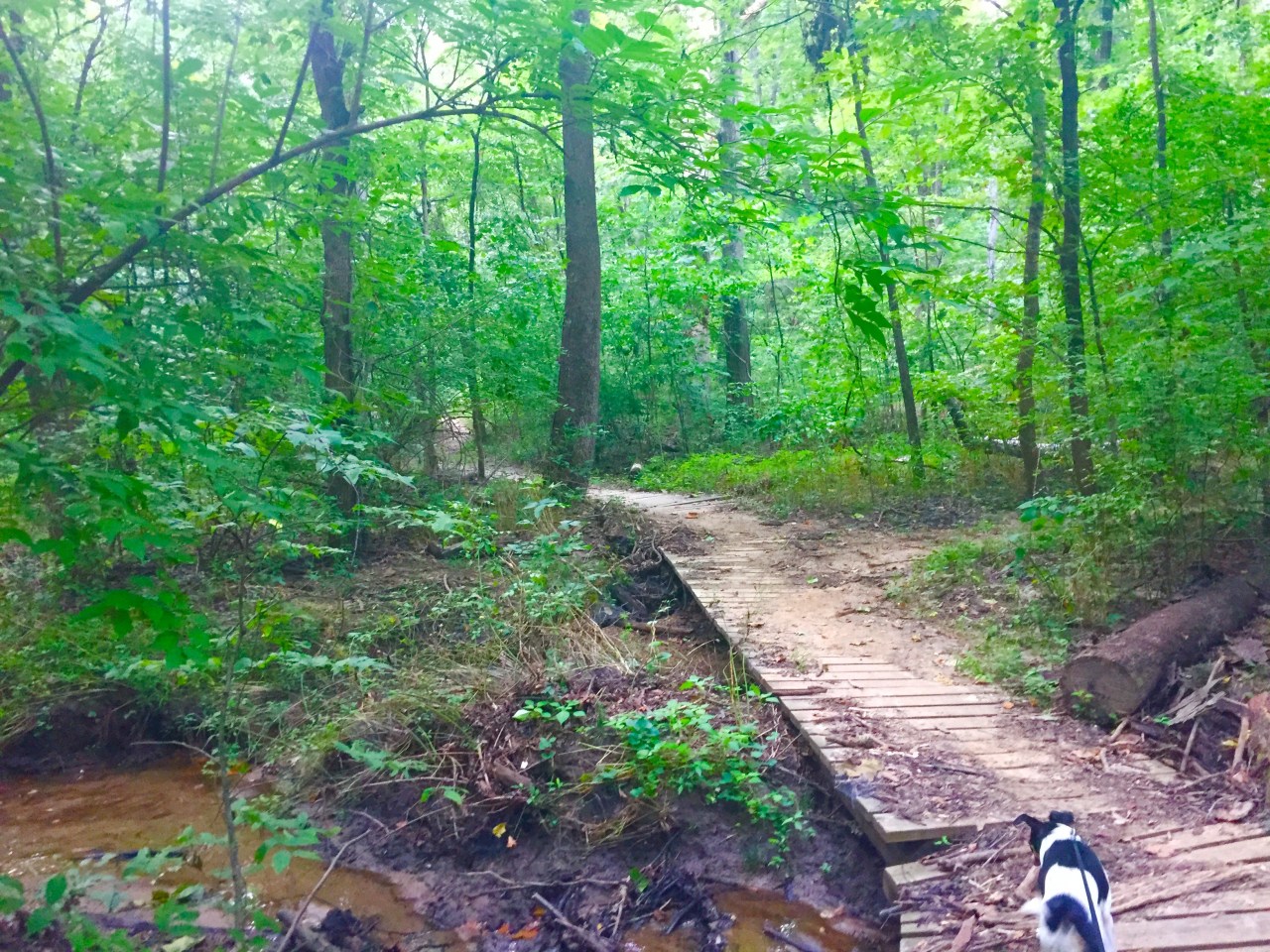 Photo Aug 04, 6 12 40 PM