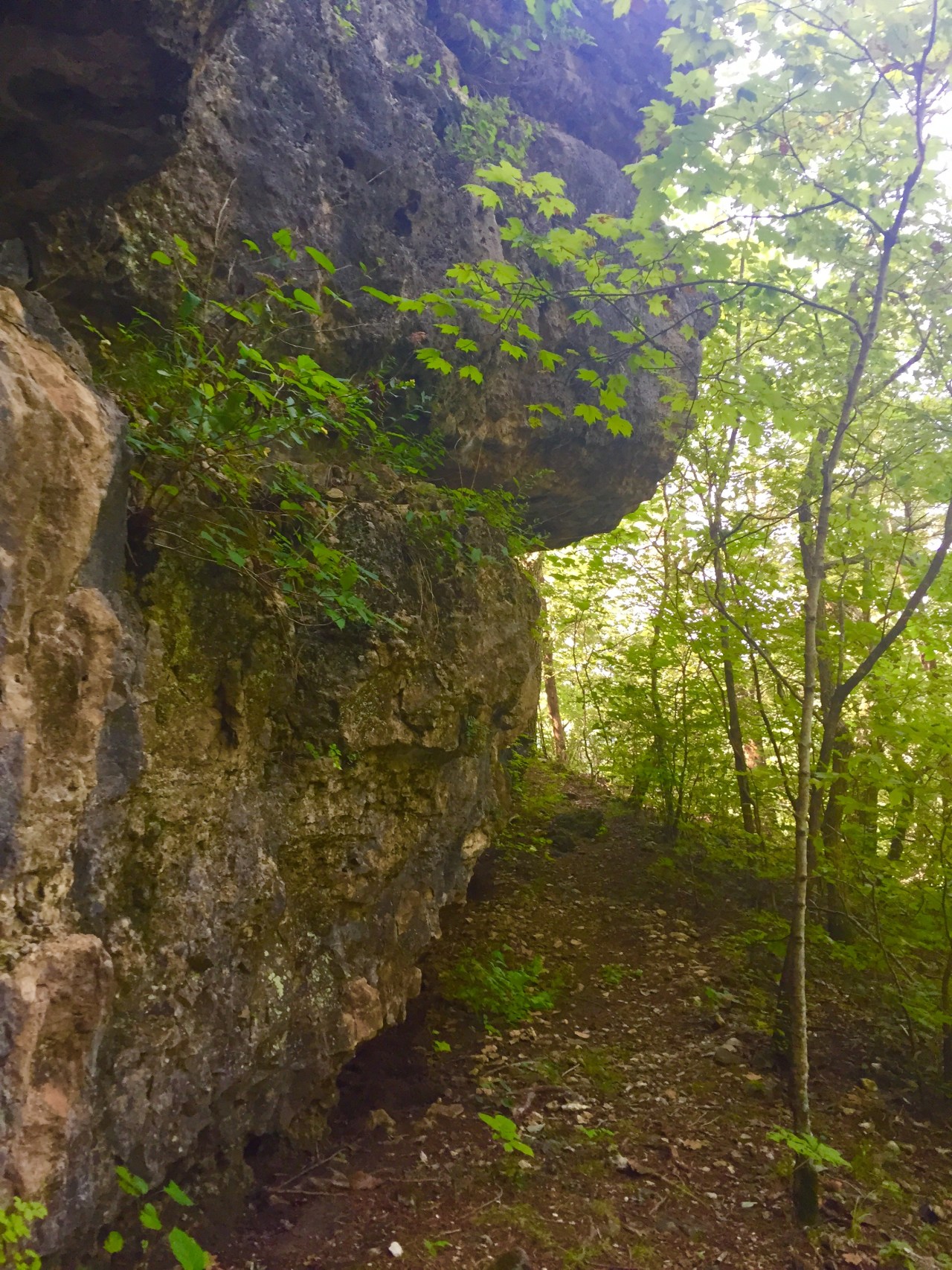 Photo Aug 15, 10 48 58 AM