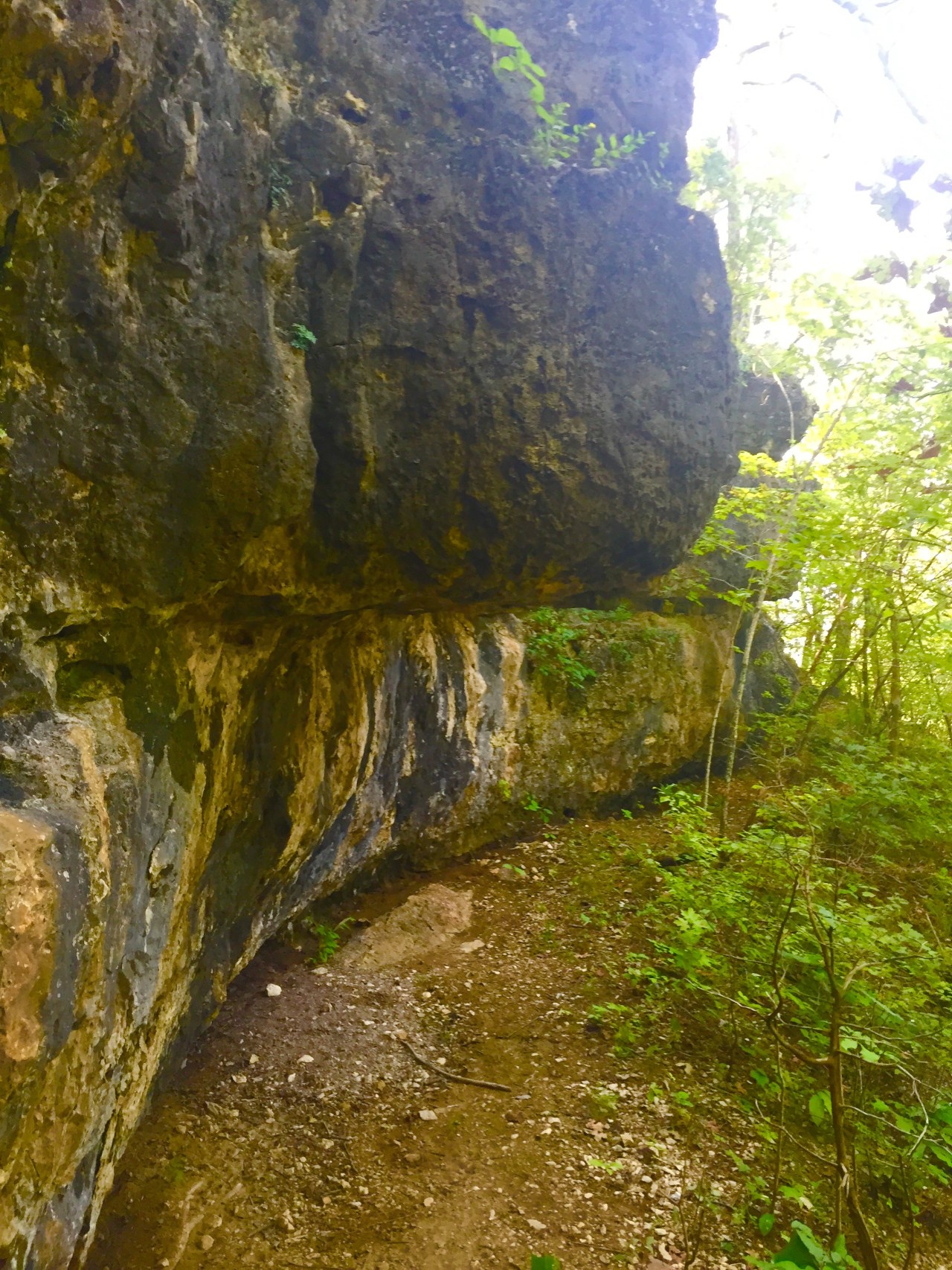 Photo Aug 15, 10 49 50 AM