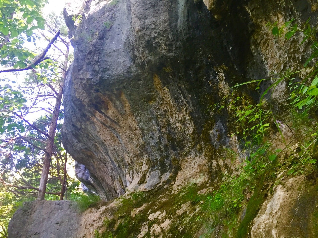 Photo Aug 15, 10 50 04 AM