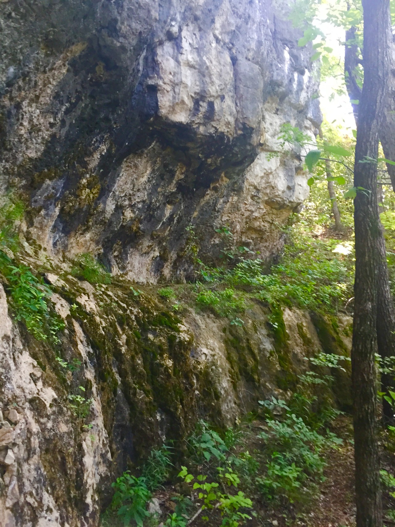 Photo Aug 15, 10 50 21 AM