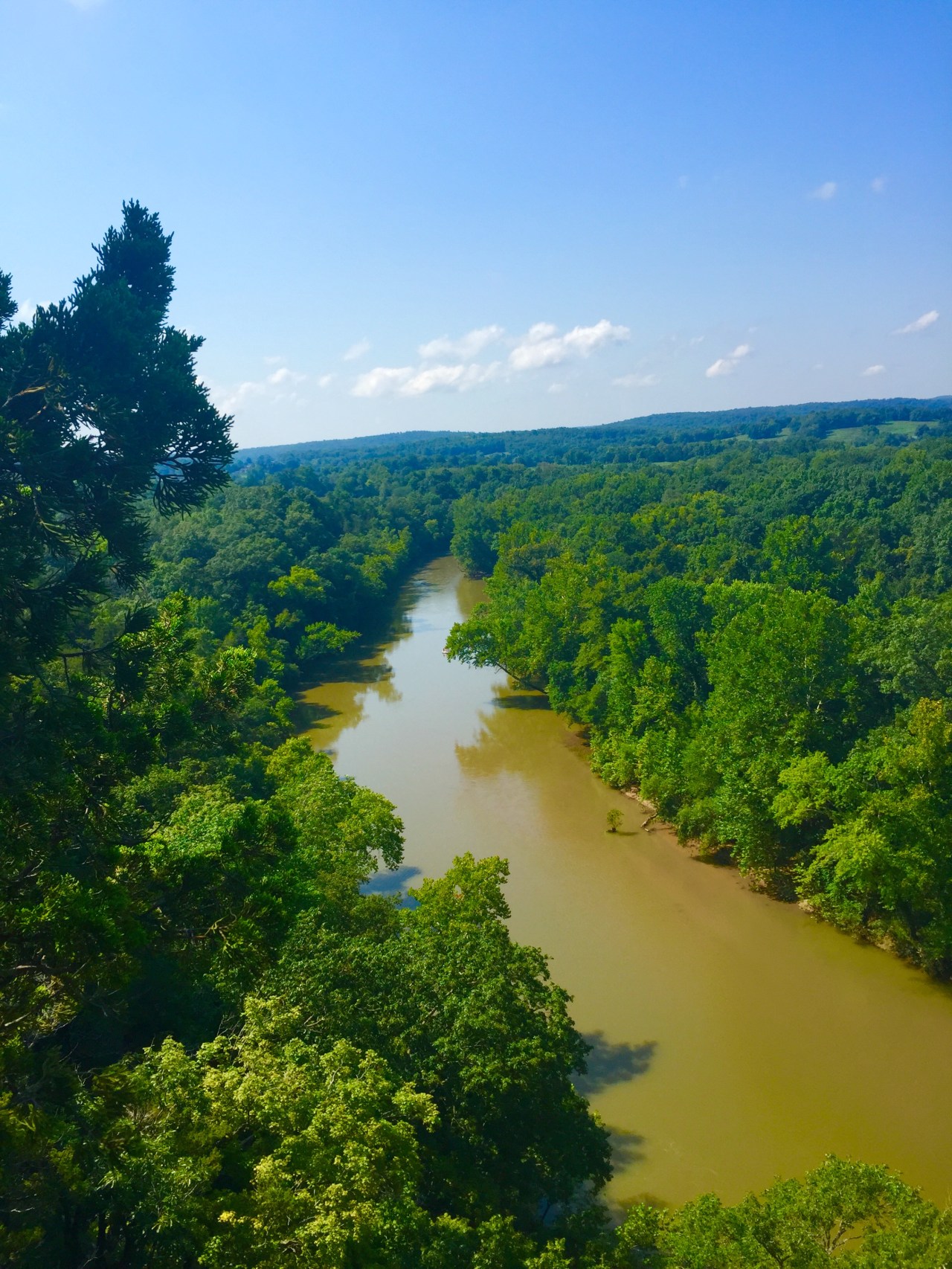 Photo Aug 15, 10 53 21 AM