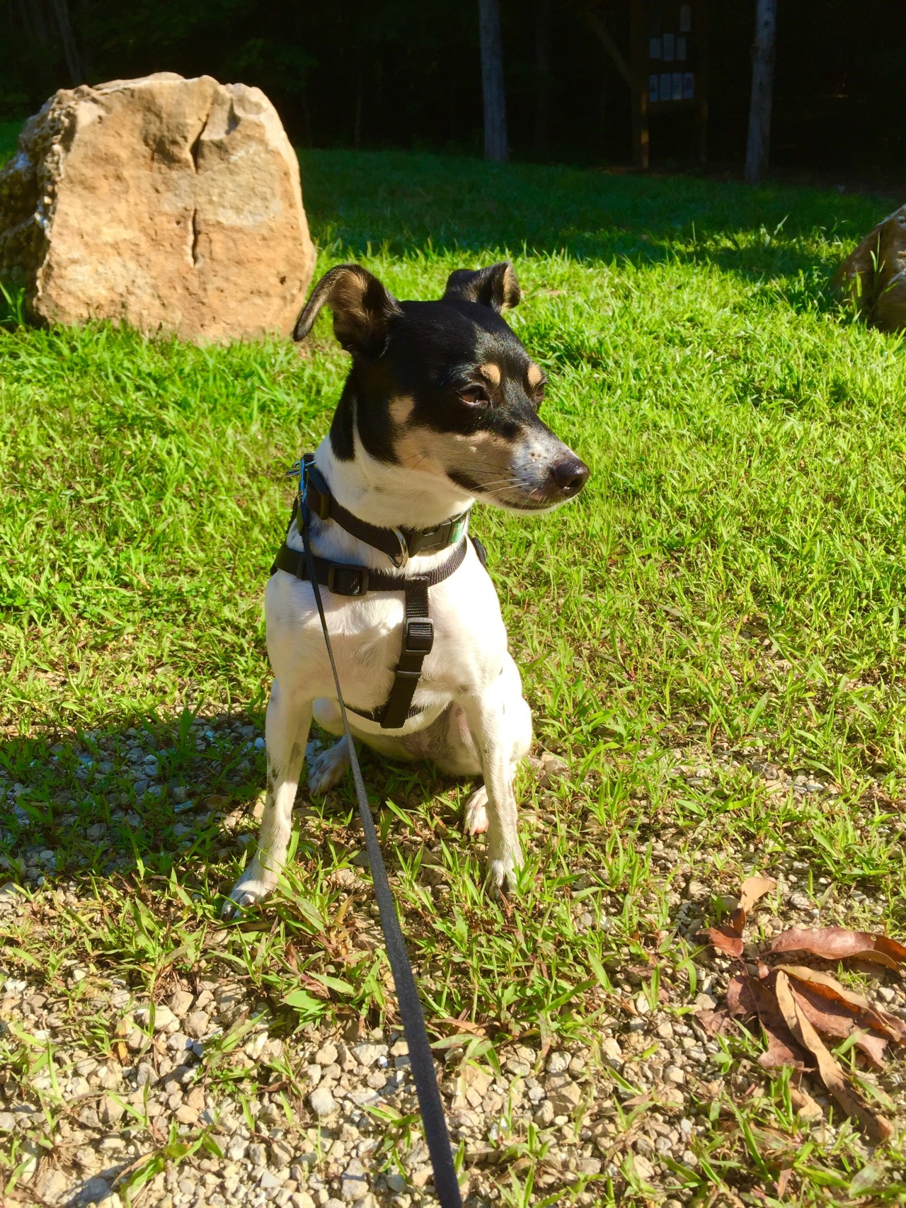 Photo Aug 15, 8 52 47 AM