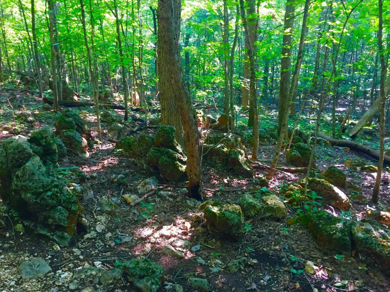 Photo Aug 15, 9 16 13 AM