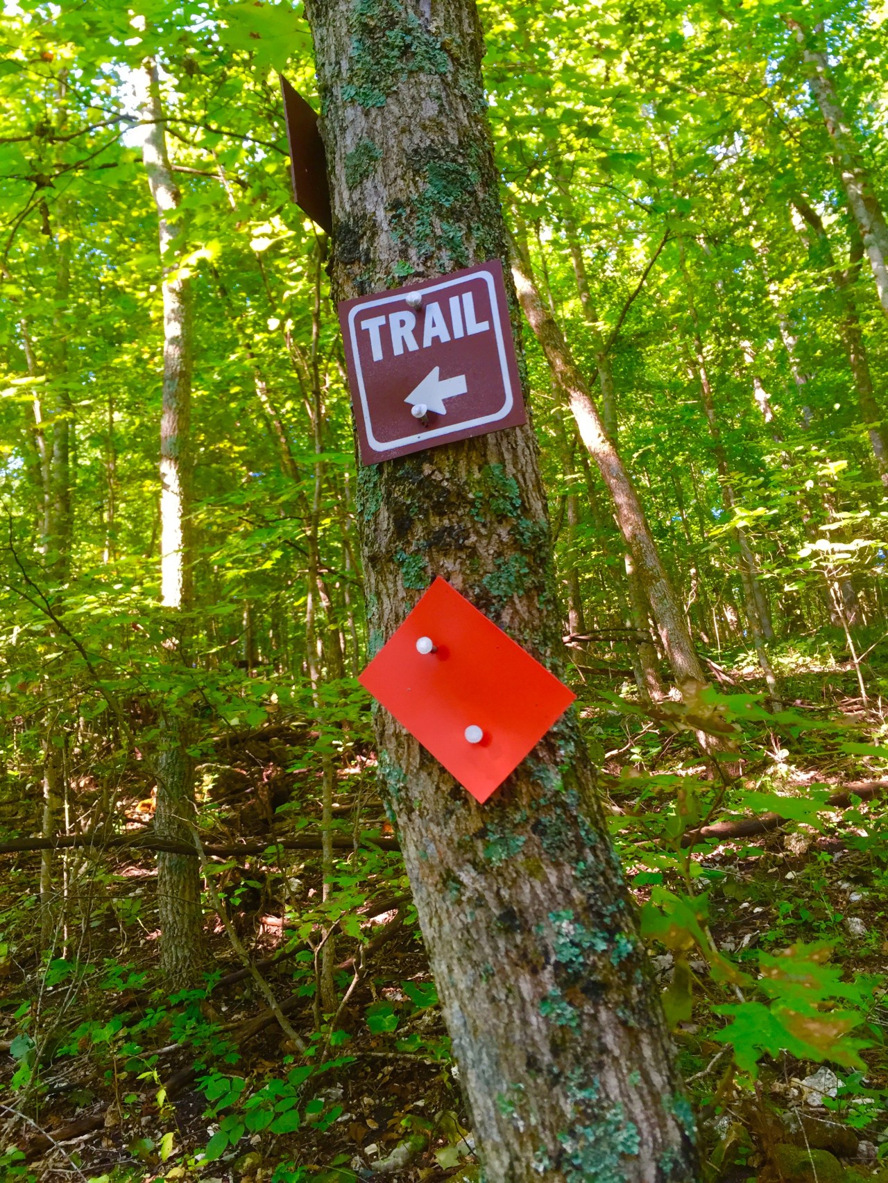 Photo Aug 15, 9 19 20 AM