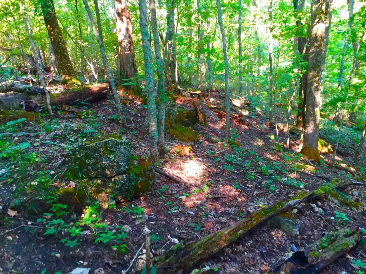 Photo Aug 15, 9 23 13 AM