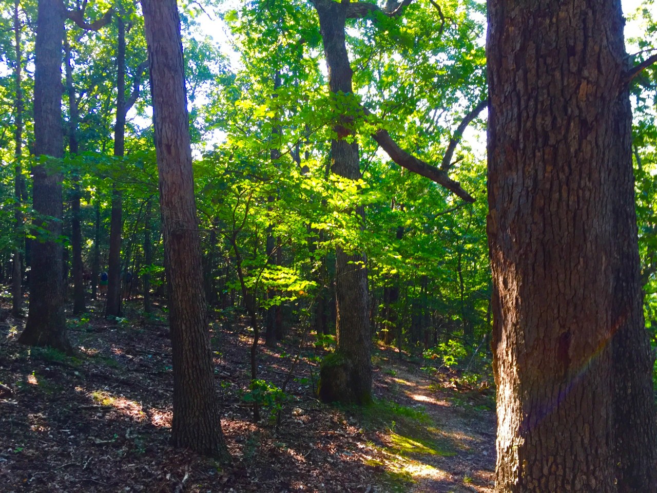 Photo Aug 15, 9 30 13 AM