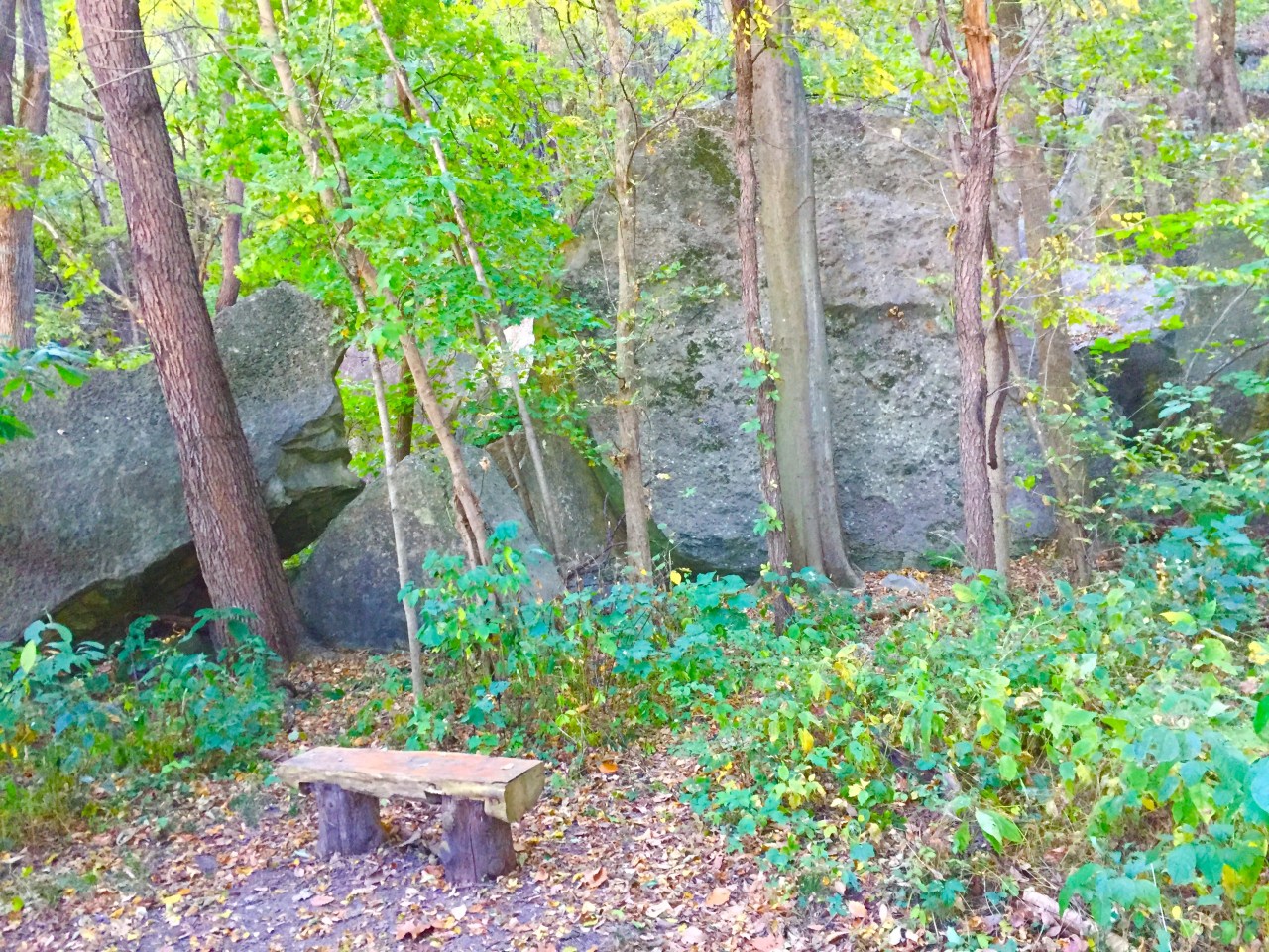 Photo Oct 10, 10 17 57 AM