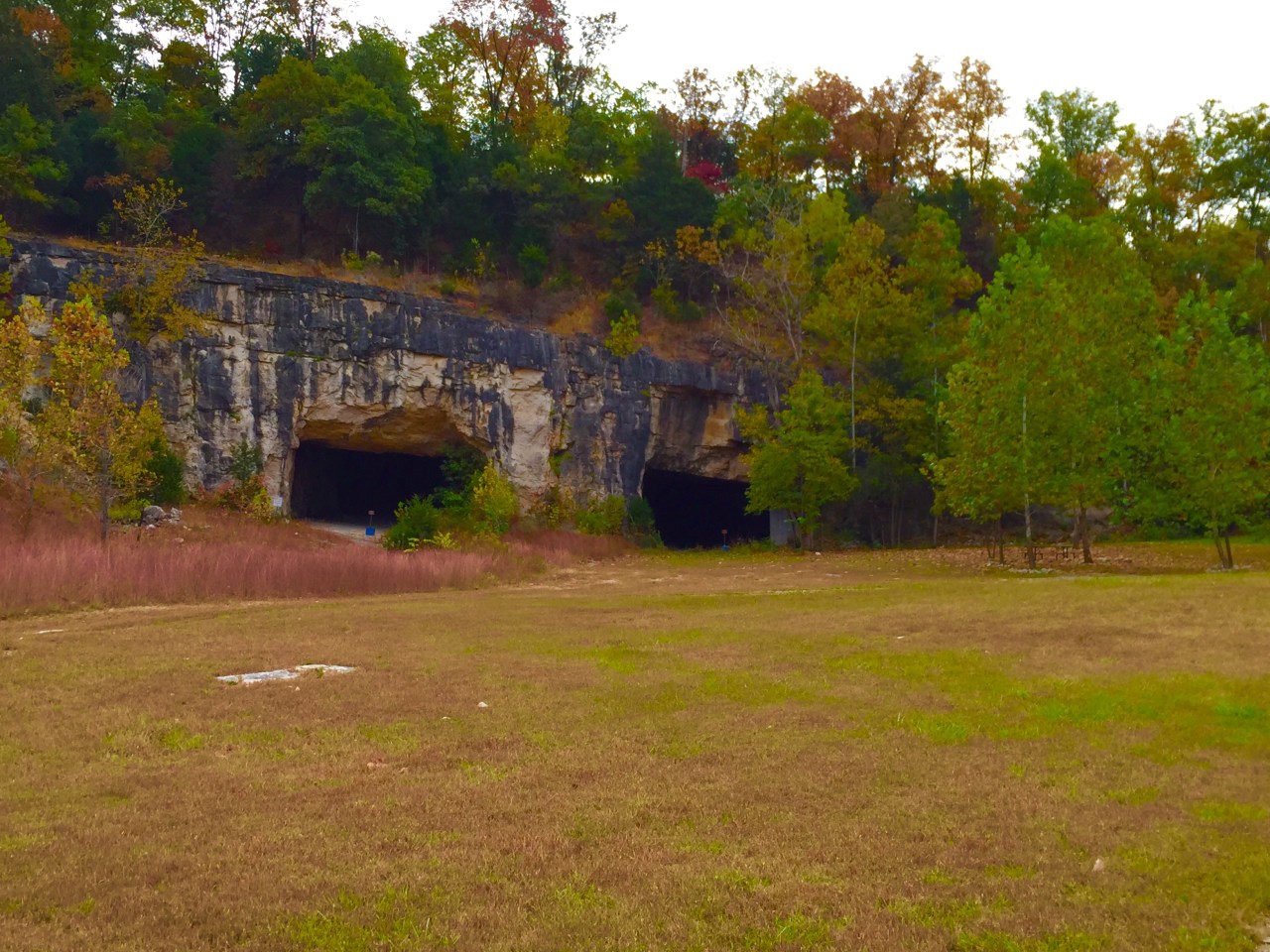 Photo Oct 10, 8 54 32 AM