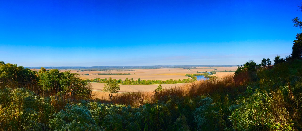 Salt Lick Point Land & Water Reserve –&nbsp;Illinois