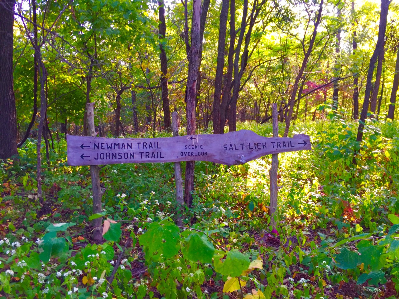 Photo Oct 10, 9 35 53 AM