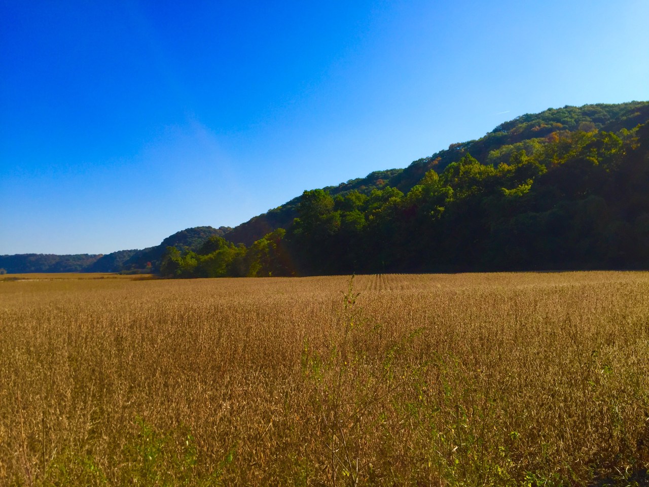 Photo Oct 10, 9 56 17 AM