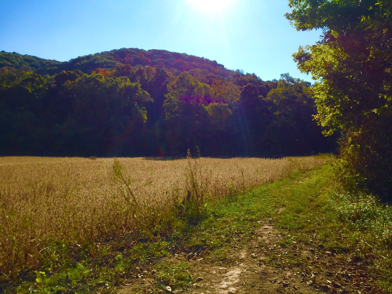 Photo Oct 10, 9 56 20 AM