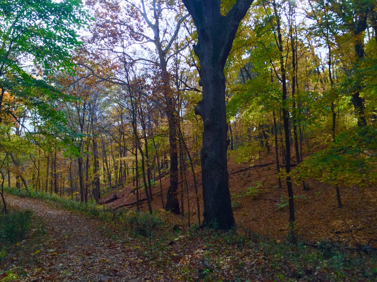 Photo Oct 25, 10 07 24 AM