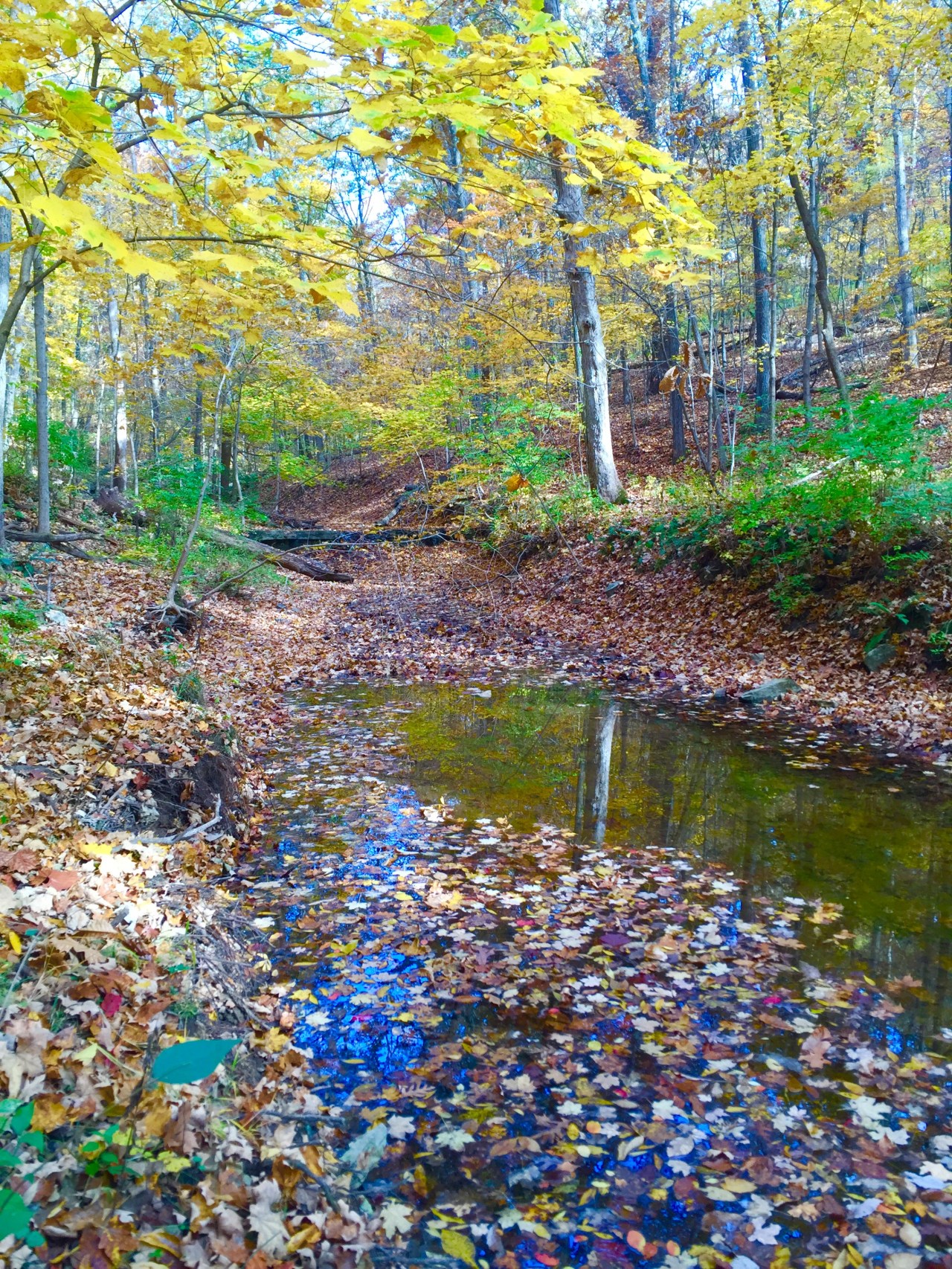 Photo Oct 25, 10 26 53 AM