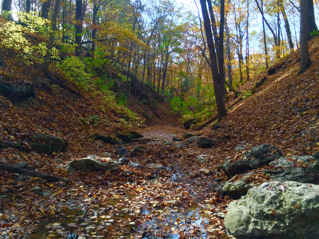 Photo Oct 25, 10 39 50 AM