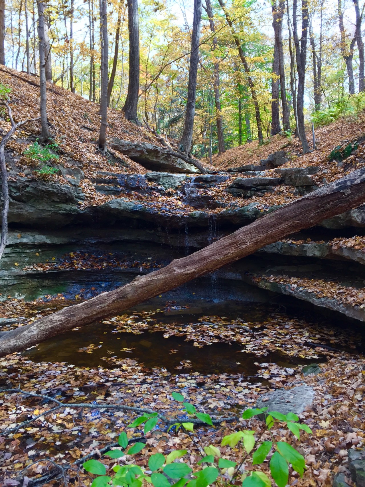 Photo Oct 25, 11 50 31 AM