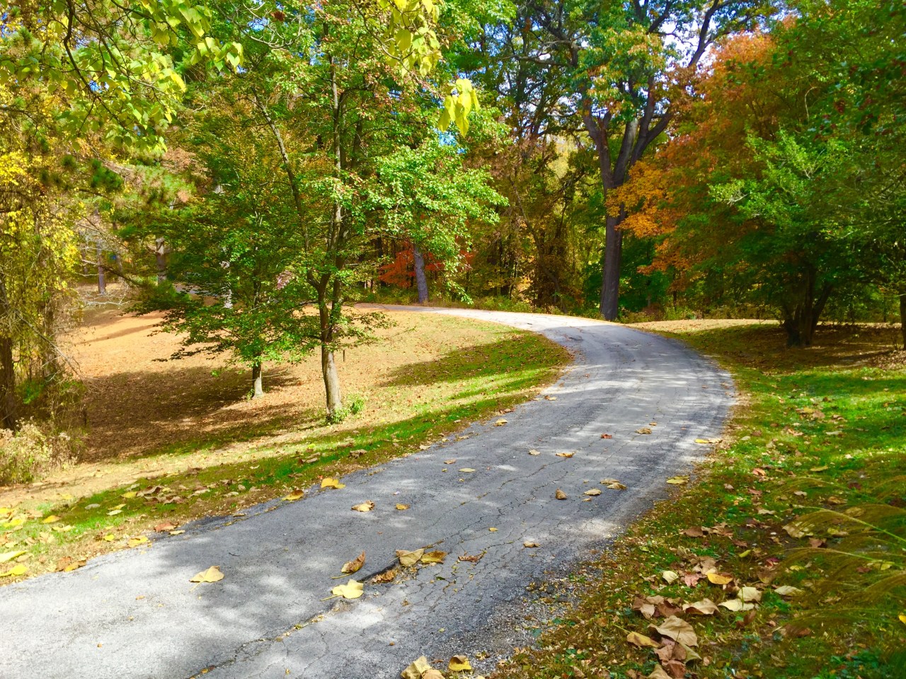 Photo Oct 25, 12 18 24 PM