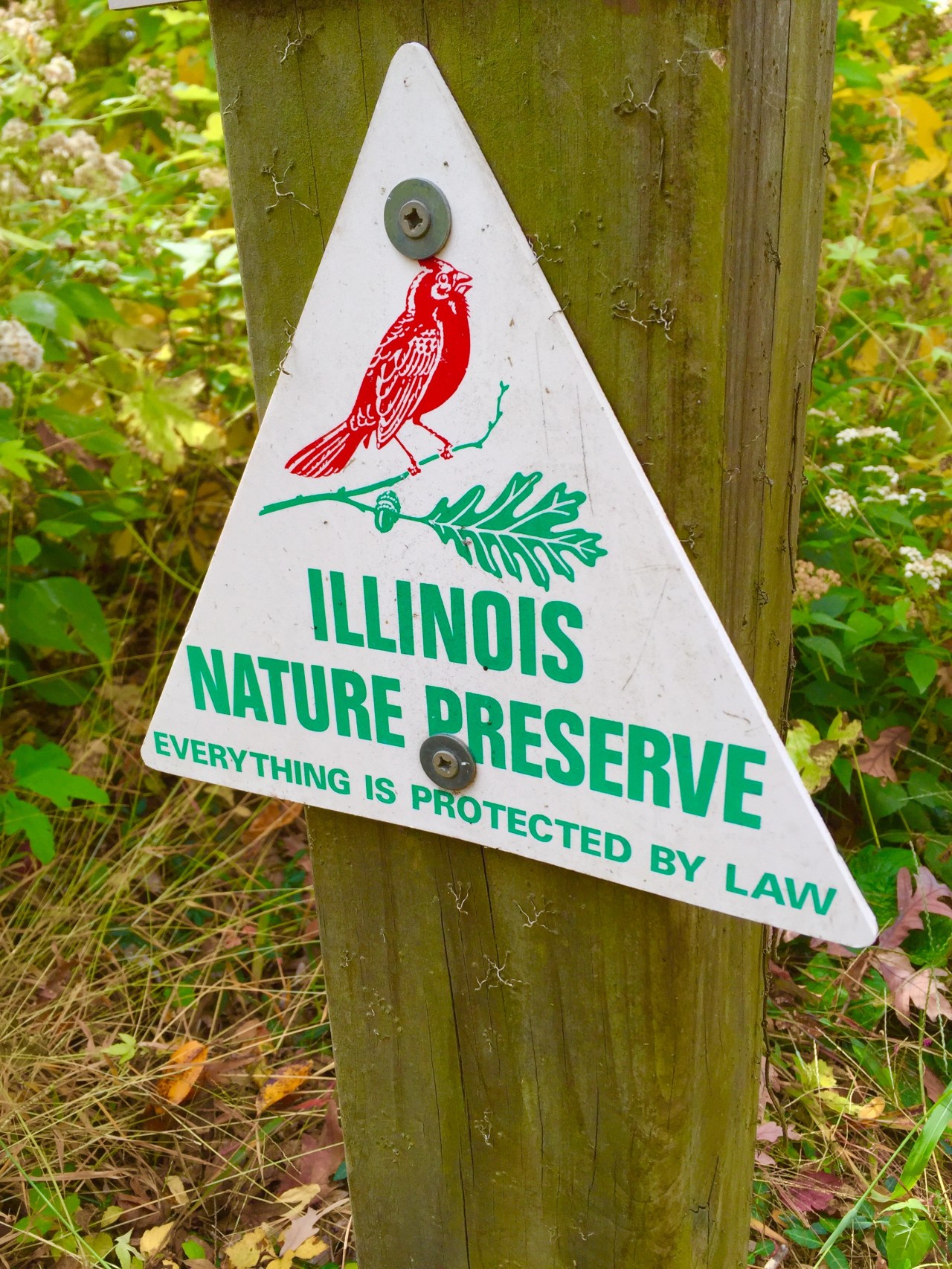 Photo Oct 25, 12 23 32 PM (1)