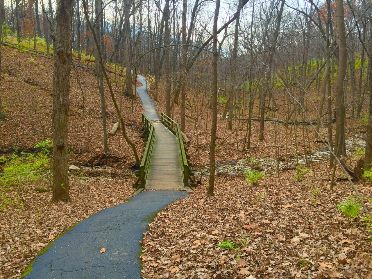 Powder Valley Conservation Nature Center –&nbsp;Missouri