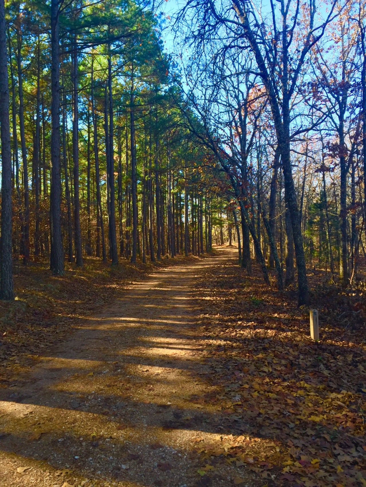 Maramec Spring (106)