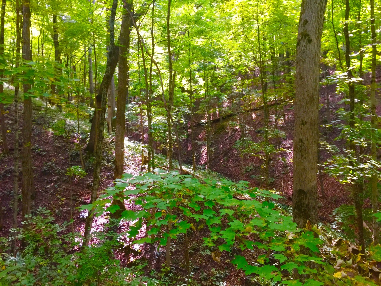 Fox Ridge State Park –&nbsp;Illinois