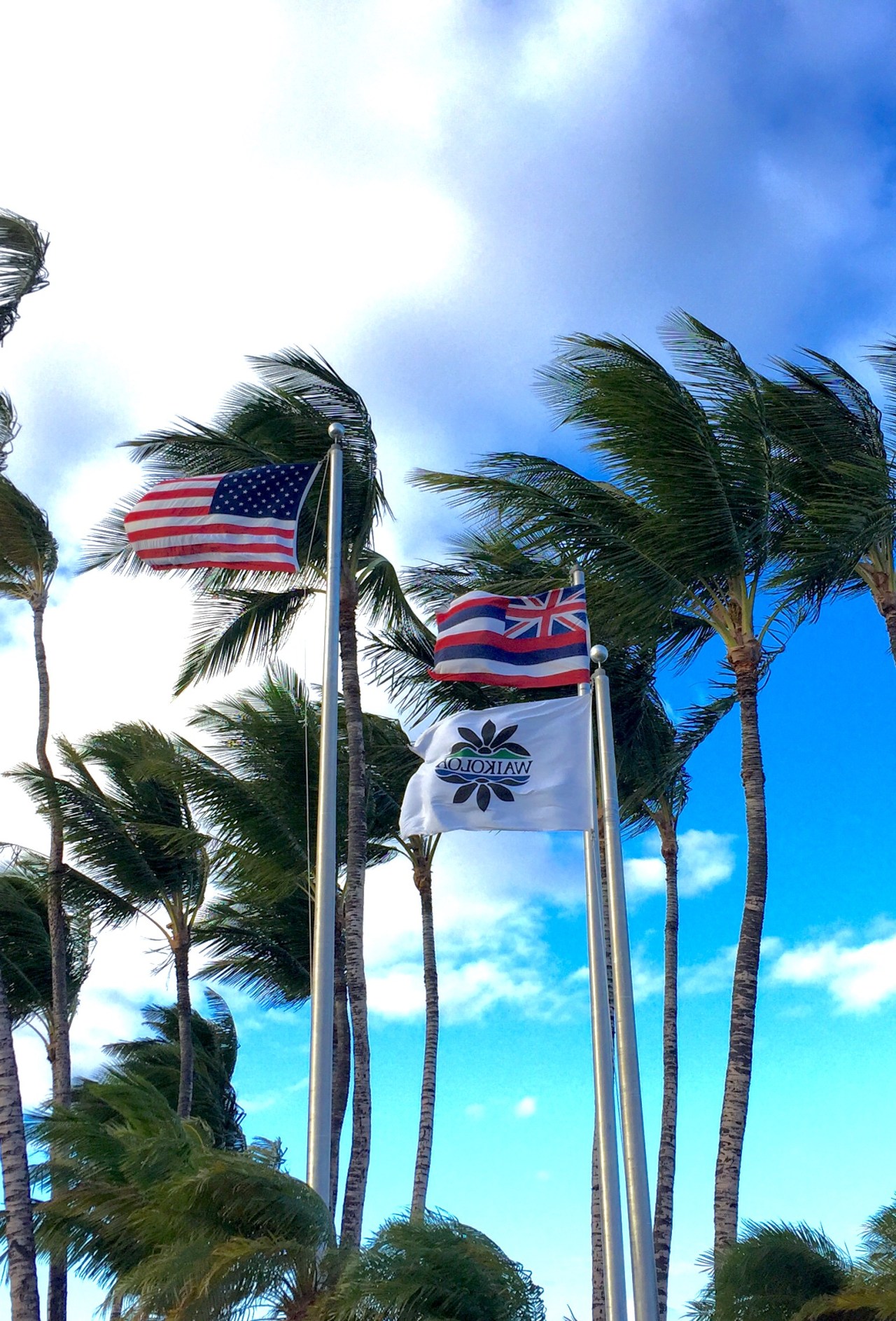 Photo Dec 23, 4 41 52 PM