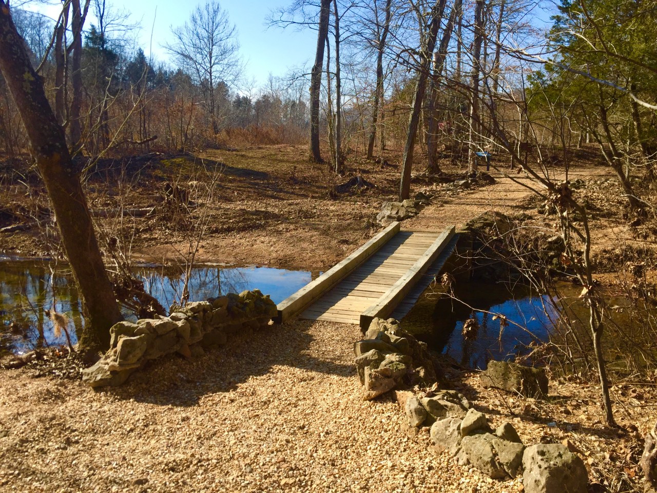 Photo Feb 20, 10 02 16 AM