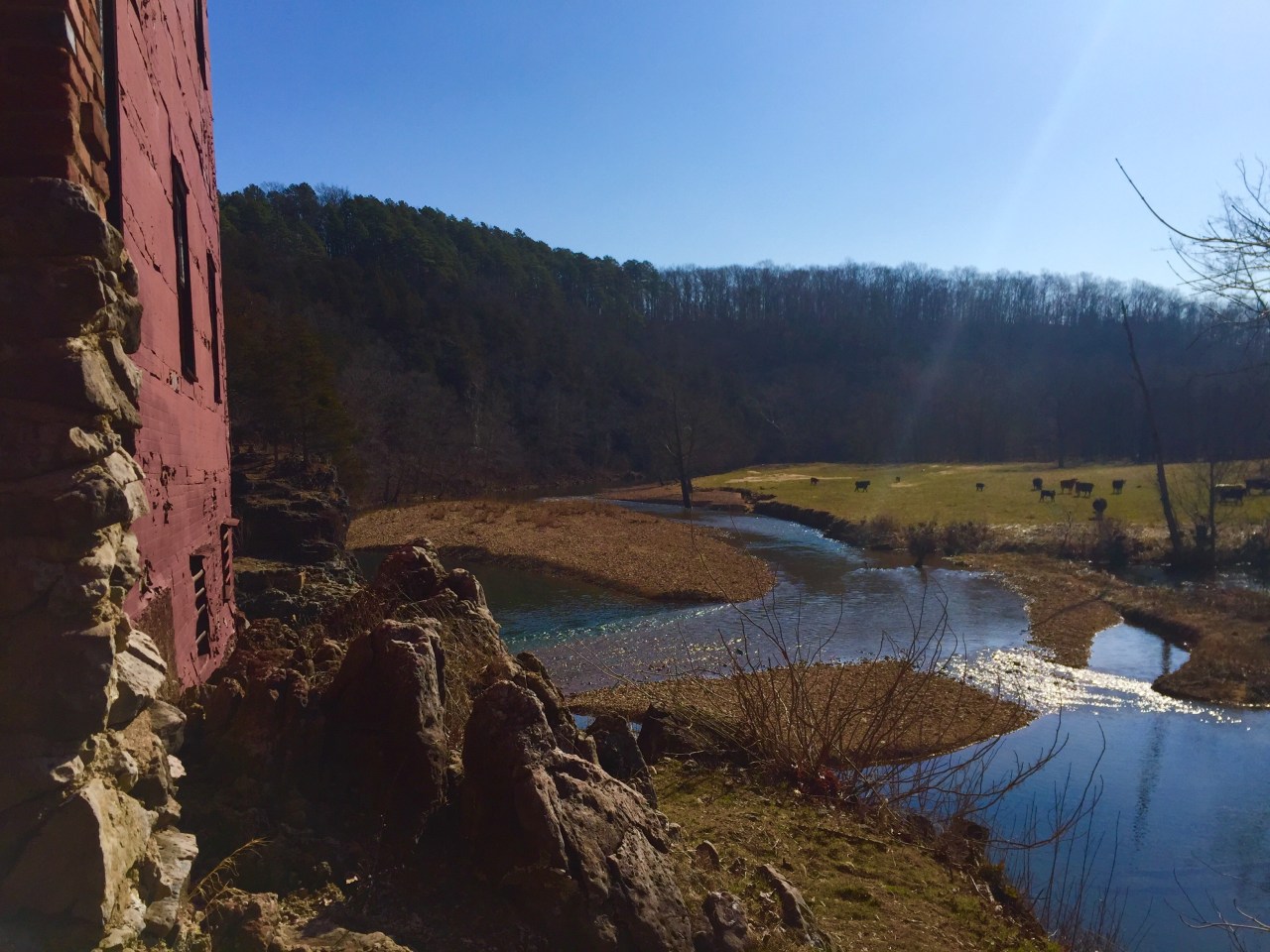 Photo Feb 20, 10 09 52 AM