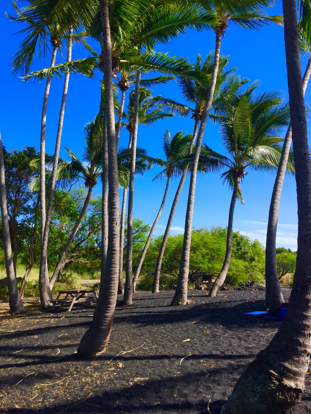 Photo Dec 19, 6 05 41 PM