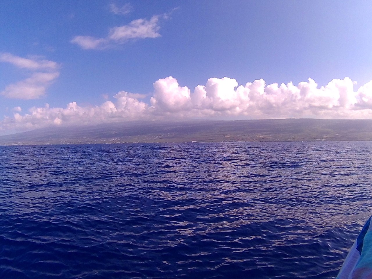 Photo Jan 13, 7 14 20 PM