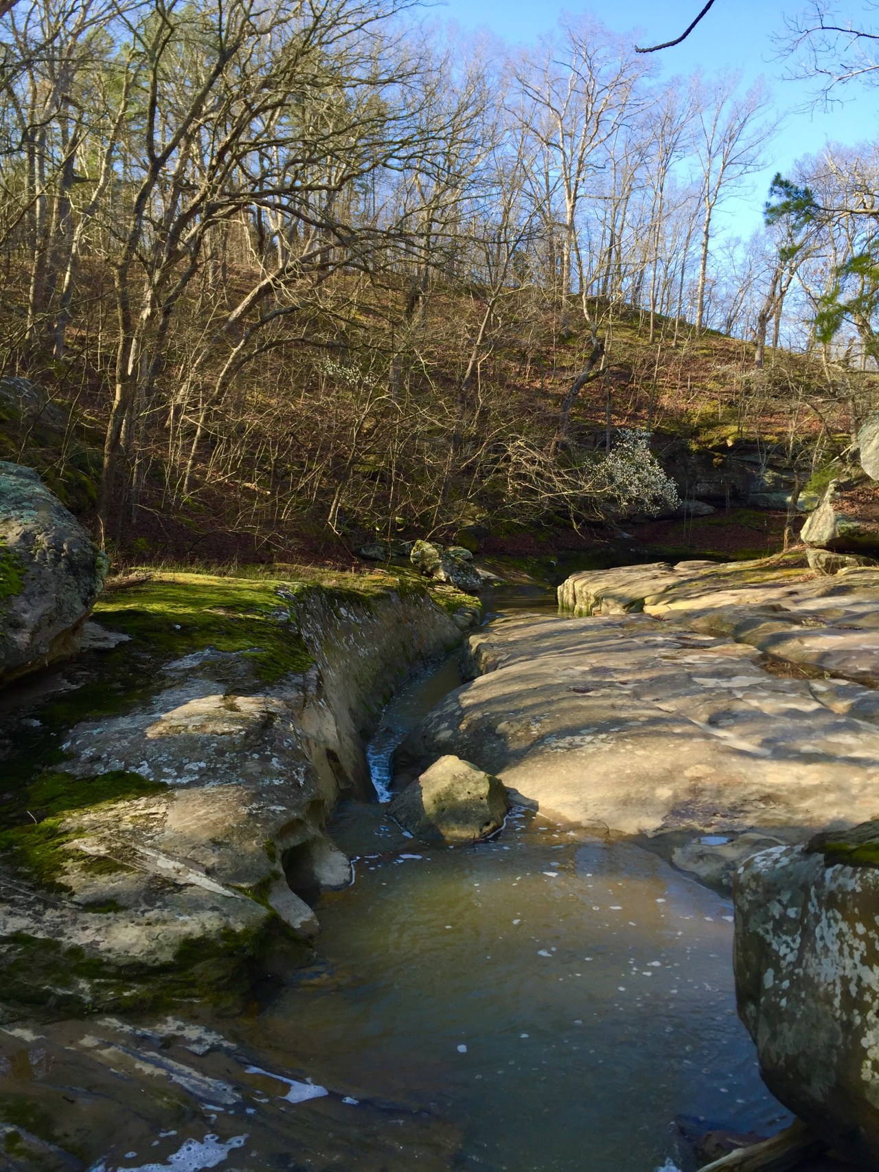 Piney Creek Ravine Nature Preserve –&nbsp;Illinois
