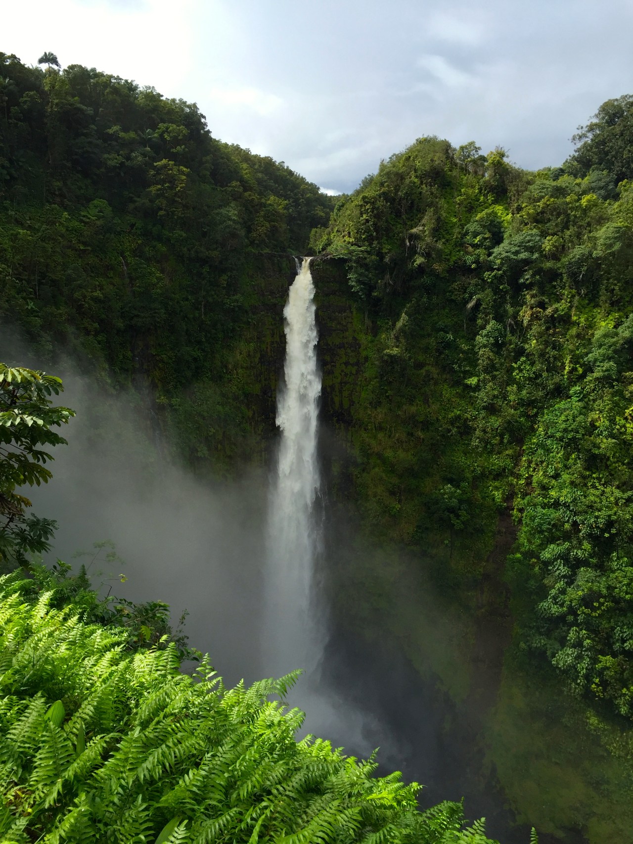 Akaka_falls27