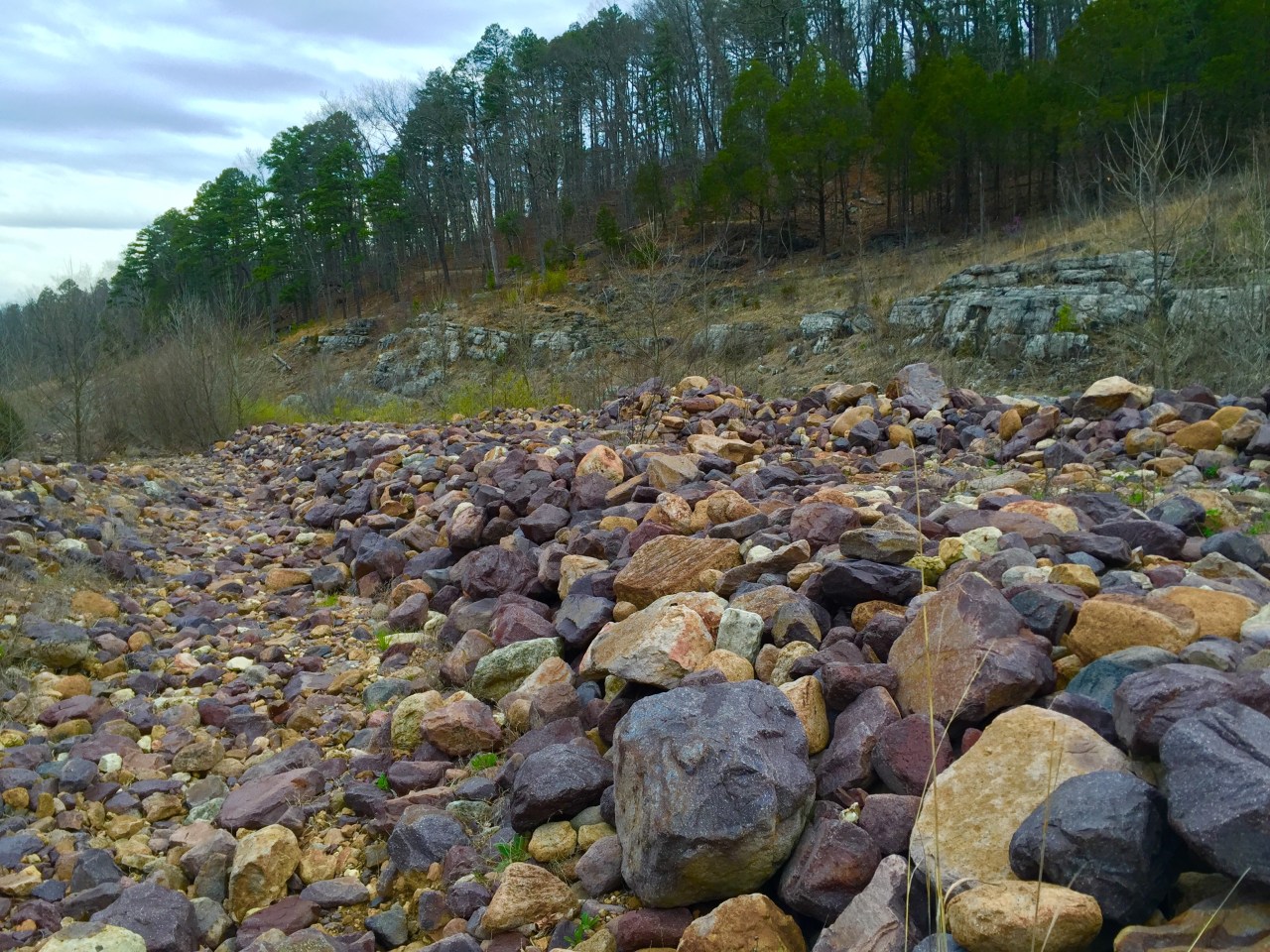 Johnson Shut Ins (14)