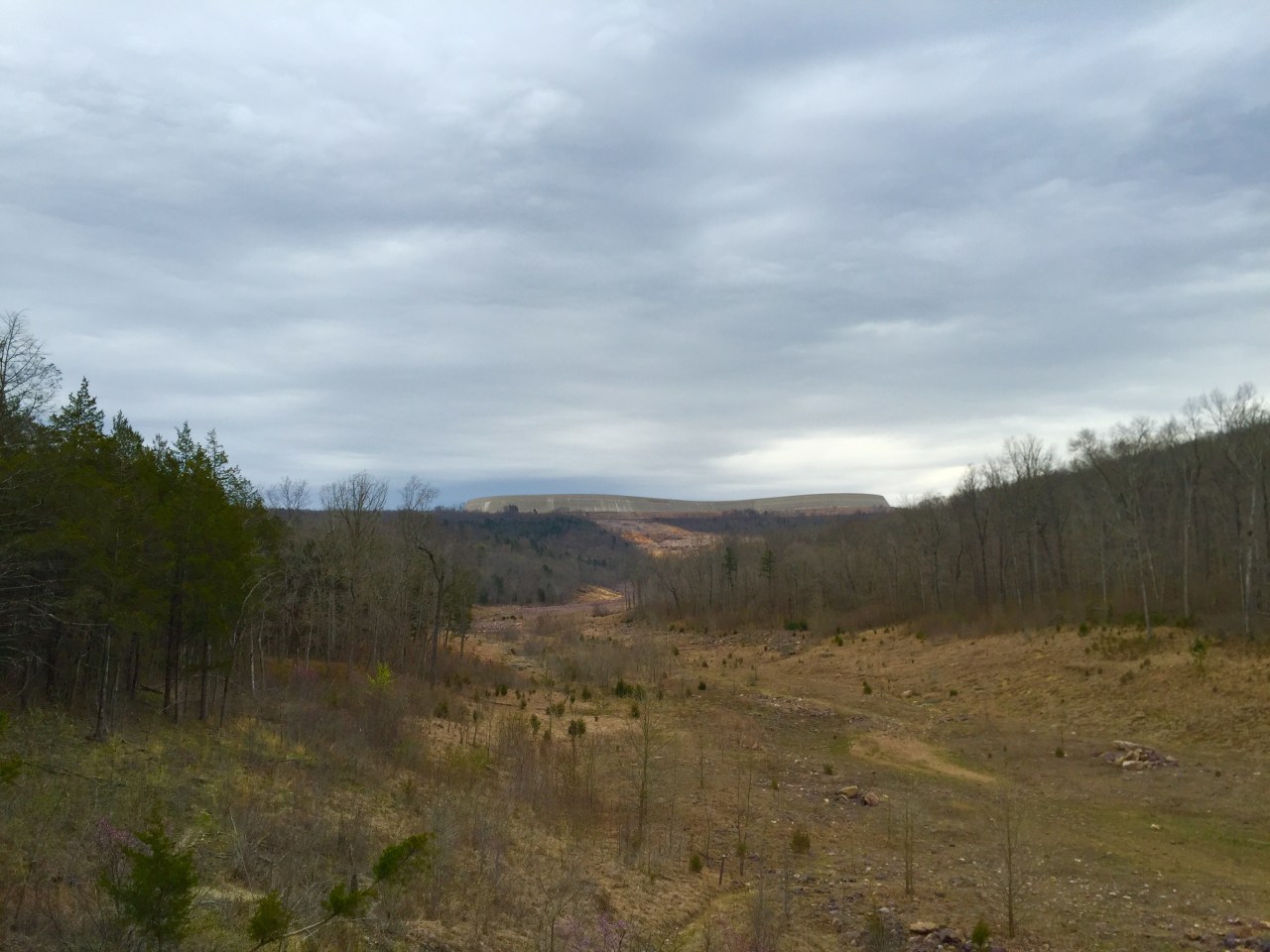 Johnson Shut Ins (23)