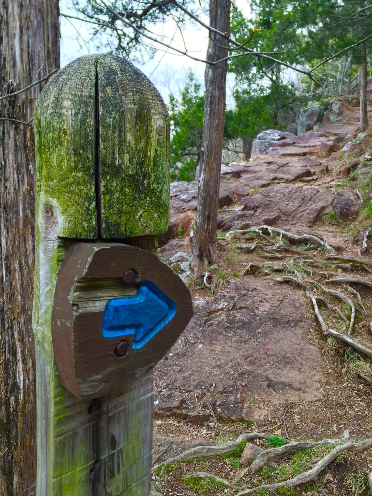 Johnson Shut Ins (64)